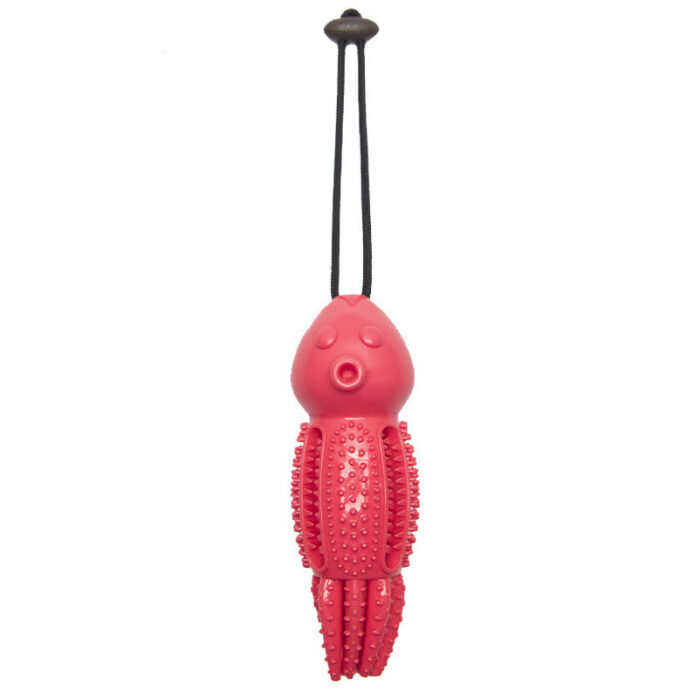 Pet Toy Molar Cleaning Tooth Leaking Device - Image 5