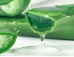 Aloe Gel Skin Care Moisturizing Face Cream - Image 10