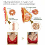 Papaya Supplement - Image 4